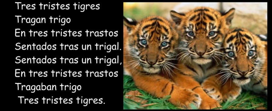 Tres Tristes Tigres - Trabalenguas 24